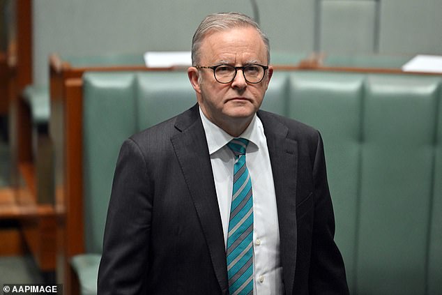 Mr Albanese said electricity bills and taxes would rise if nuclear power was installed.