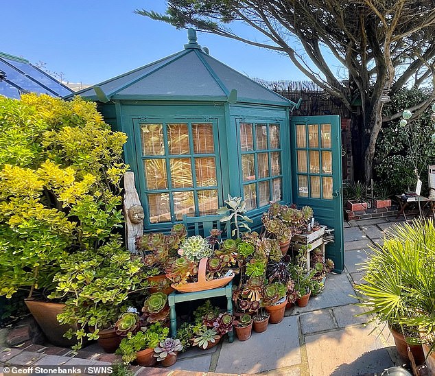 The keen gardener keeps hundreds of different types of plants in his award-winning garden in Seaford, East Sussex.