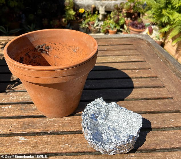 Geoff also suggests creating an inner reservoir (pictured) inside the container to allow the plants to retain some moisture on sunnier days.