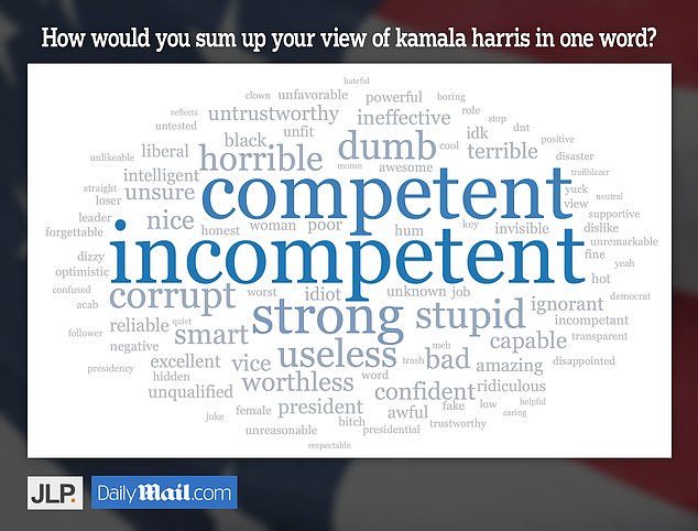 JL Partners asked 1,000 potential voters for their one-word summary of Kamala Harris