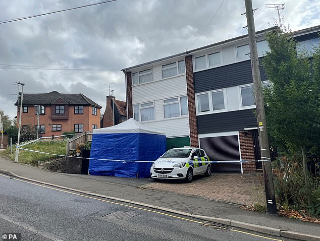 Pictured: Police work at the scene of an incident at a house in Chelmsford, Essex, on September 18 this year.