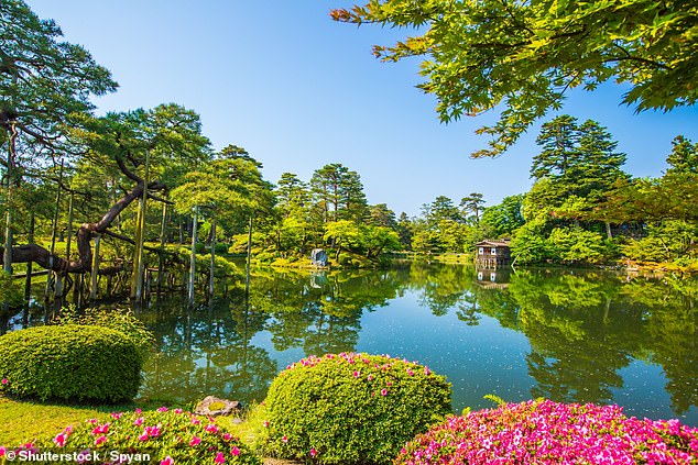 'JusthereforNachos' said: 'I love all of Japan, but if I had to choose, I'd always love Kanazawa.' Kenrokuen (pictured above) is an 'exquisite garden' in the city.