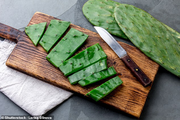 The nopales or cacti (shown here) had been prepared at home in May and stored incorrectly.