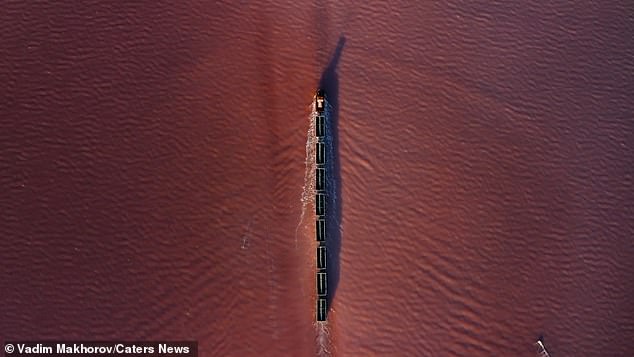 Vadim said: 'The water turns pink because of tiny crustaceans and microalgae that reproduce only in very salty water.'