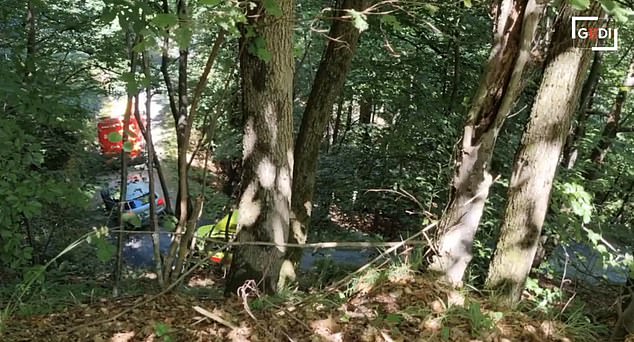 Emergency vehicles are seen in the Ossola forest, where the Italian tourist died after falling