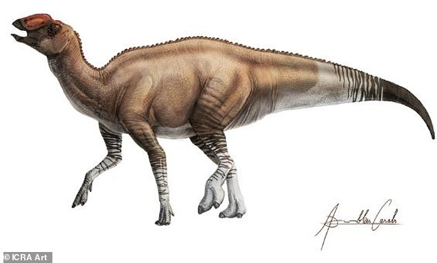 According to Hoffman, hadrosaurs, as a family of species, are 