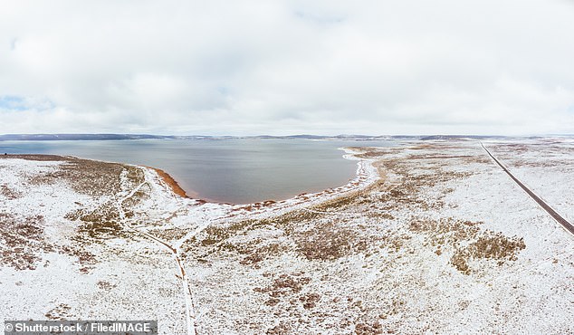 The small town of Liawenee (pictured), Tasmania, recorded the state's second-coldest temperature on record, a bone-chilling -13.5C on Thursday morning.