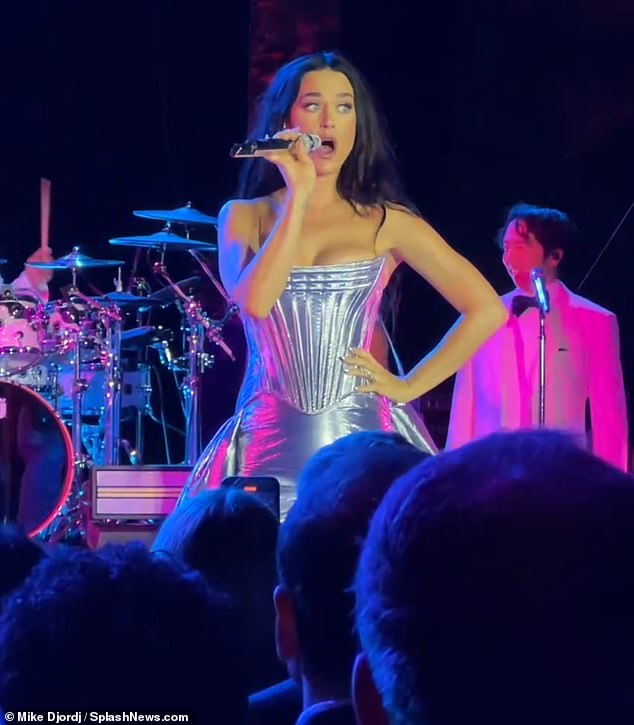 Katy Perry gave a spectacular performance at billionaire Anant Ambani's pre-wedding party in Cannes last month.