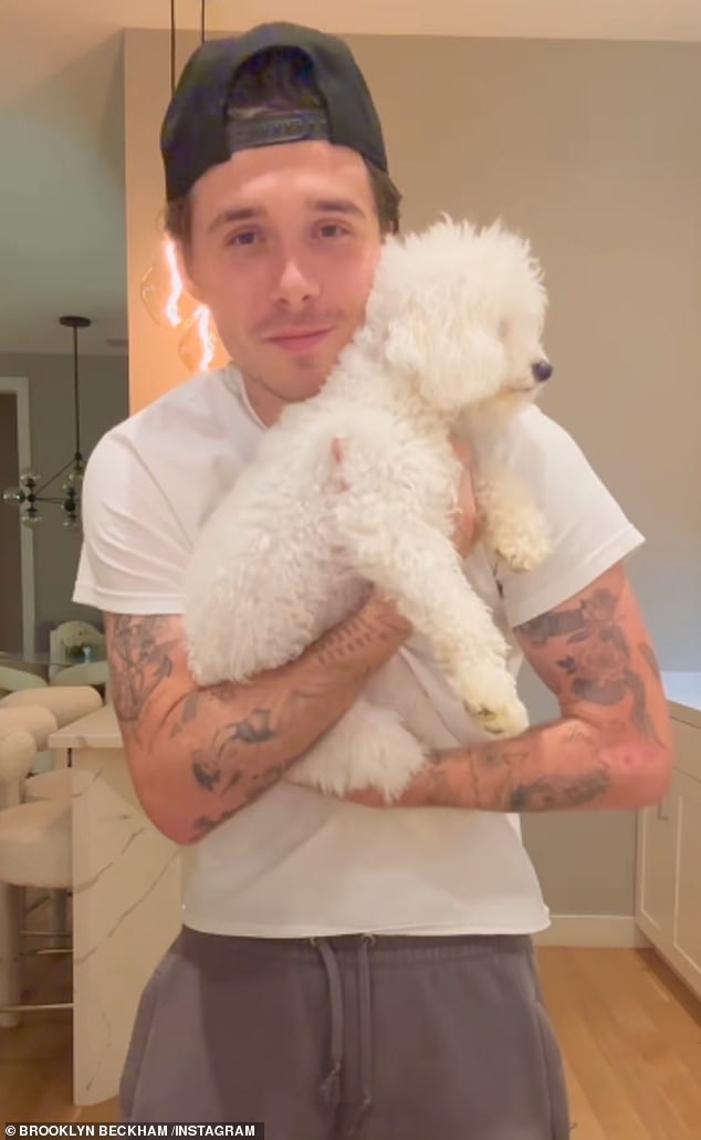 The amateur chef posed with his beloved dog Lamb as he stood in front of the stove and spoke to the camera to explain that he was preparing a risotto.