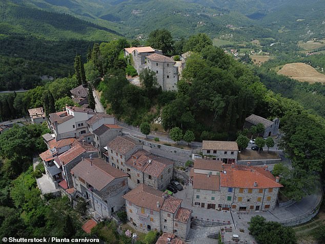 The program applies only to homes in mountain towns with fewer than 5,000 inhabitants, such as Caprese Michelangelo, the birthplace of artist Michelangelo (pictured).