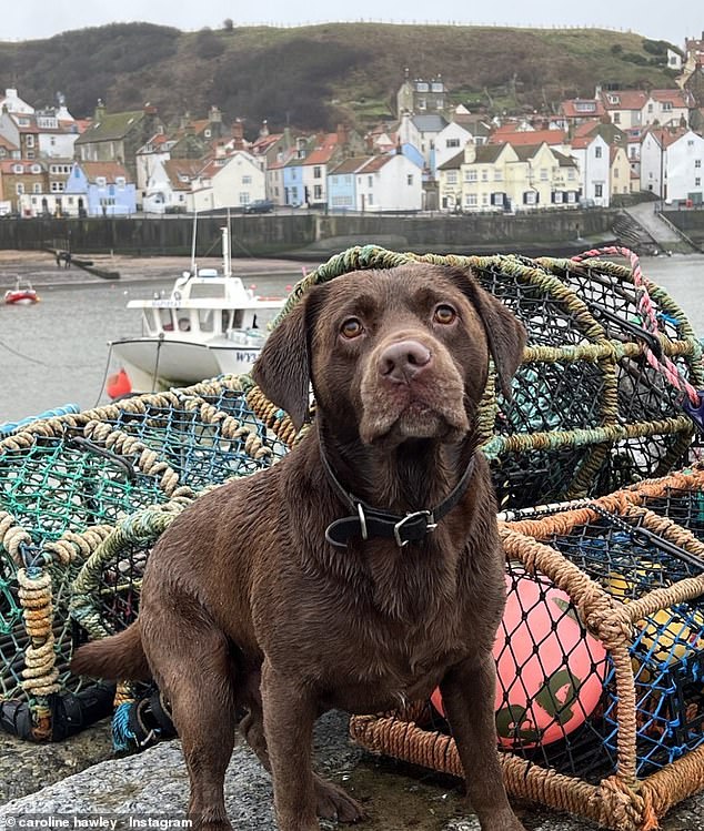 Caroline now lives happily on the property with former footballer John and their sweet brown Labrador (pictured).