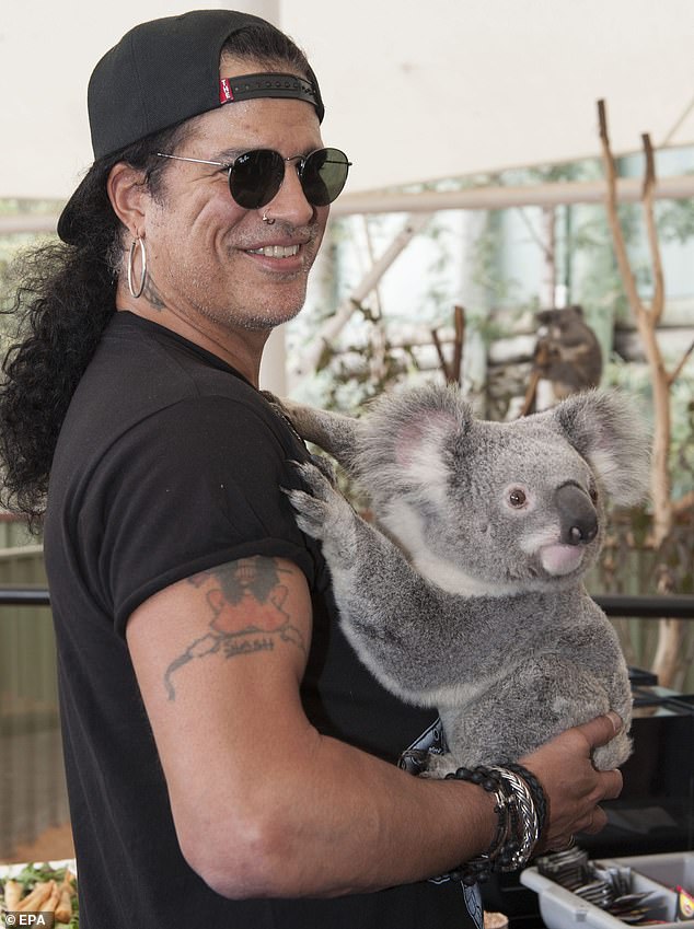 Guns N Roses guitarist Saul Hudson, known as Slash, holds his first koala at the Lone Pine Koala Sanctuary in Brisbane, Australia on August 22, 2012.