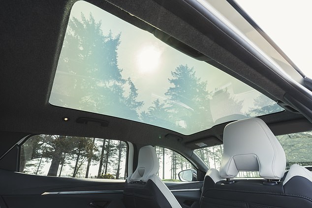 Light streams in from a panoramic glass roof that becomes opaque or transparent as needed.