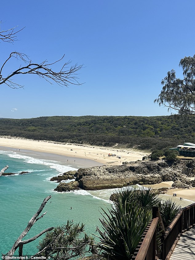 In February, Mr Burns was fined $20,000 for clearing 2,900 square metres of protected vegetation at Point Lookout (pictured).