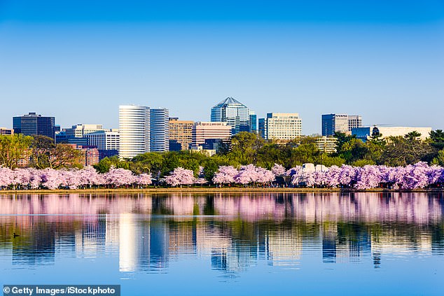 Washington, DC at the Tidal Basin during cherry blossom season with the Rosslyn Business District cityscape as seen here