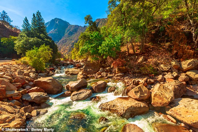 Sequoia and Kings Canyon National Parks in California typically have more than a million visitors a year and have 1,213 campsites.