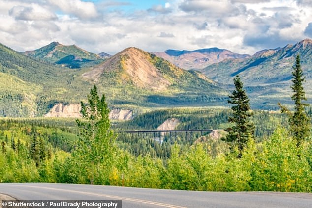 Denali National Park and Preserve is a small Alaskan town with 28 trails and 241 campsites. Visitors often like to hike off the beaten path.