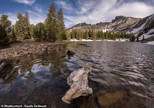 Great Basin National Park welcomed 143,265 visitors last year and is one of only two places on this list that doesn't charge an entrance fee.