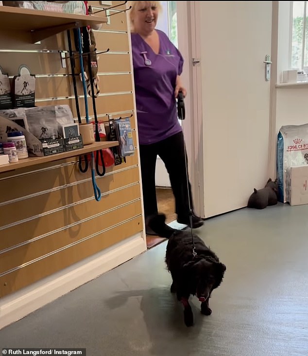 Ruth accompanied him with a touching clip of Maggie, who is 14, leaving the vet room and then some more clips as he held her at home.