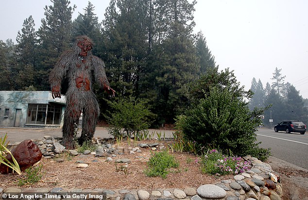 A metal sculpture of Bigfoot welcomes visitors to the small community of Happy Camp in the Klamath Forest.