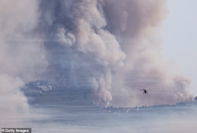 Footage of the aftermath also shows giant plumes of smoke rising from the forest as branches continue to burn to ash.