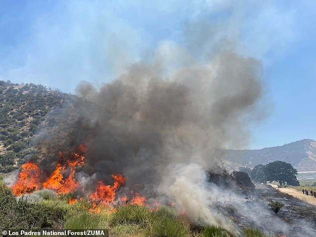 Images from the aftermath of the fire also show giant plumes of smoke rising from the forest as branches continue to burn to ash.