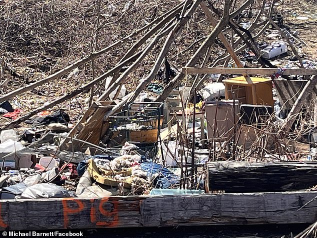 Trash and shoddy housing structures litter the woods behind Bach's street in Concord