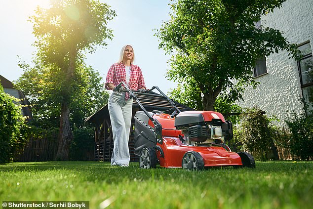 Once temperatures have dropped and no more warm weather is forecast, the expert recommends fertilizing the lawn (Archive image)