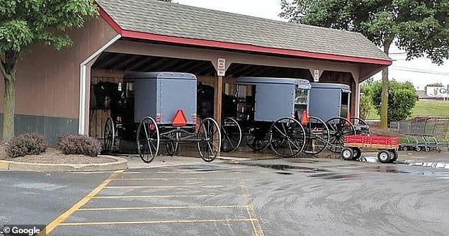 Parking spaces for horses and carriages are spaced out and include covered stalls for the animals.