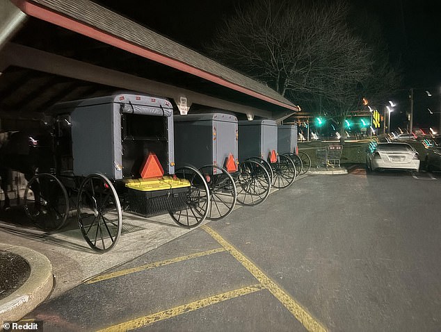 A photo that Reddit users claimed was taken at the Lancaster Costco branch showed horses and carriages parked side by side.