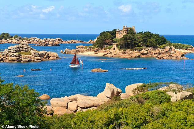 The hazy-coloured salt is made from evaporated seawater from the Celtic Sea off the coast of France, and has been hailed by social media users as a miracle work. File photo of the French coast