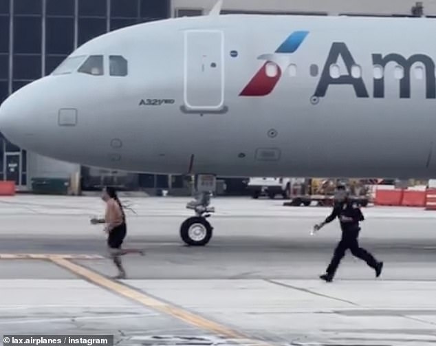 The incident occurred next to an American Airlines plane parked at LAX on Saturday morning.