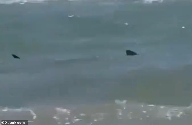 A dorsal fin can be seen swimming back and forth near the shore as the woman lies on the sand.