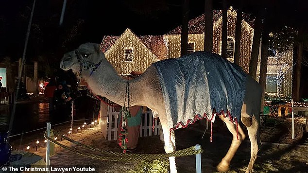 Despite legal threats from the Homeowners Association, it continued with its elaborate light show, a live nativity scene and even a camel.