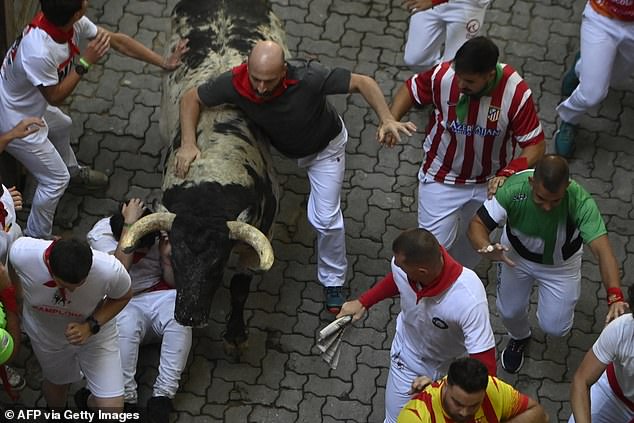 Participants run ahead of "Gago Barley" bulls during the "confinement" (running of the bulls) of the San Fermin festival in Pamplona, ​​northern Spain, on July 8, 2024