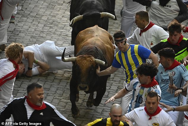 Participants run ahead of "Gago Barley" bulls during the "confinement" (running of the bulls) of the San Fermin festivities in Pamplona