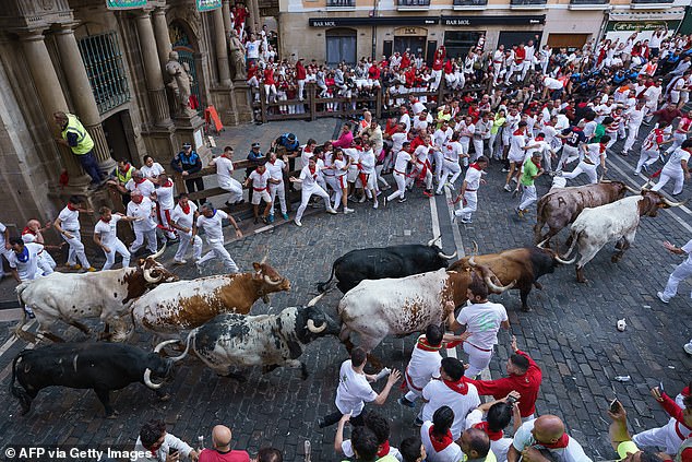 Participants run ahead of "Gago Barley" bulls during the "confinement" (running of the bulls) of the San Fermin festivities