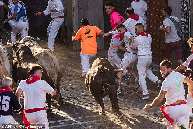 Participants dressed in red and white run ahead of "Gago Barley" bulls during the "confinement"