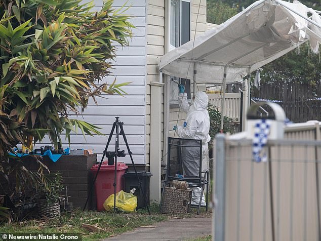 The NSW Police Minister has said an independent inquiry will help determine what went wrong, but some observers have questioned its effectiveness (pictured, Ms Miles' home)