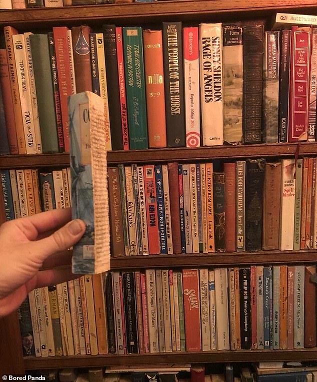 Why? Meanwhile, someone else discovered an absolutely useless fake library in their Airbnb.