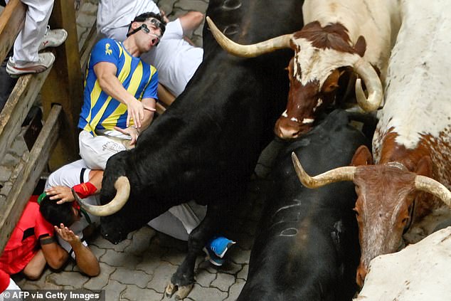 Some runners are run over by a group of bulls from the Herederos de Victoriano del Río ranch that roam the streets during the third running of the bulls on Tuesday