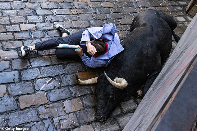 Revellers surround a wild cow at the San Fermin festival