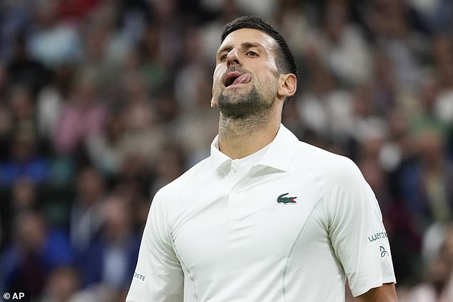 Djokovic appeared annoyed with the Wimbledon crowd throughout the match and did not accept a BBC interviewer's explanation that they had only been supporting his opponent.