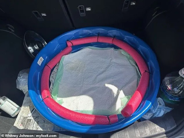 The seven were crammed into a small kiddie pool under one of the seats with a cover over it, with the car turned off and the windows rolled up, police said.