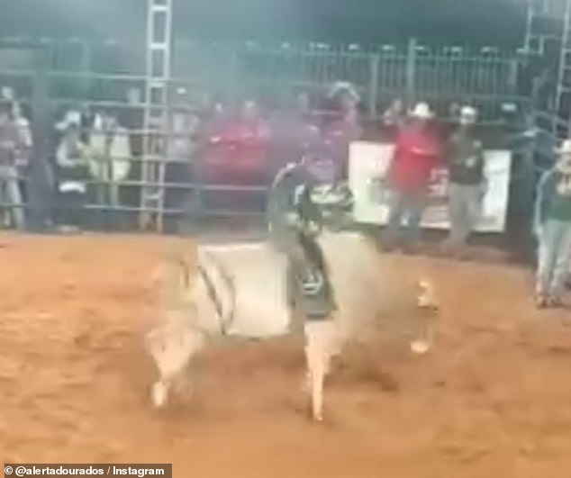 Fabiano Pinheiro was hit in the neck by the bull's hind legs and was able to walk on his own at a rodeo show in Brazil on Monday night.