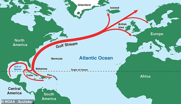 The Gulf Stream is a strong current that carries warm water from the tropics to the coast of North America, across the Atlantic, and toward Europe.