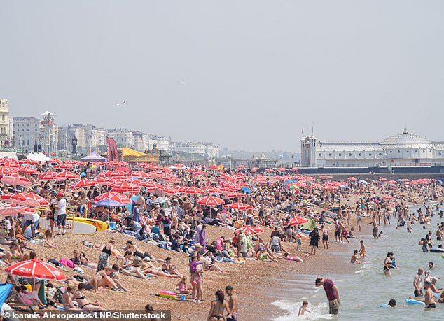 The seaside resort of Brighton and Hove (pictured) is apparently the UK's spiciest city, with 81 per cent of its residents regularly stressed.