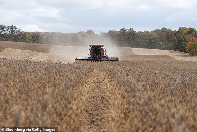 A combine harvests, threshes and cleans soybeans in Waynesfield, Ohio.