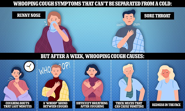 Health officials warned that it's difficult to distinguish the infection from a cold at first, as the first symptoms are a runny nose and sore throat. But about a week later, patients can develop coughing fits that last for minutes, difficulty breathing after coughing and make a wheezing sound. 