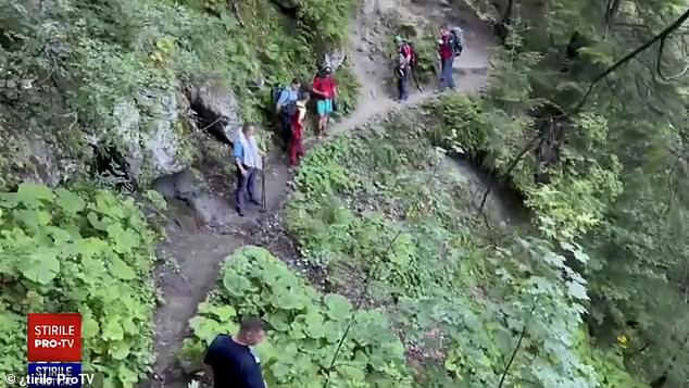 The bear first grabbed the teenager's leg and pulled her out of the way before throwing her 330 feet off a cliff.